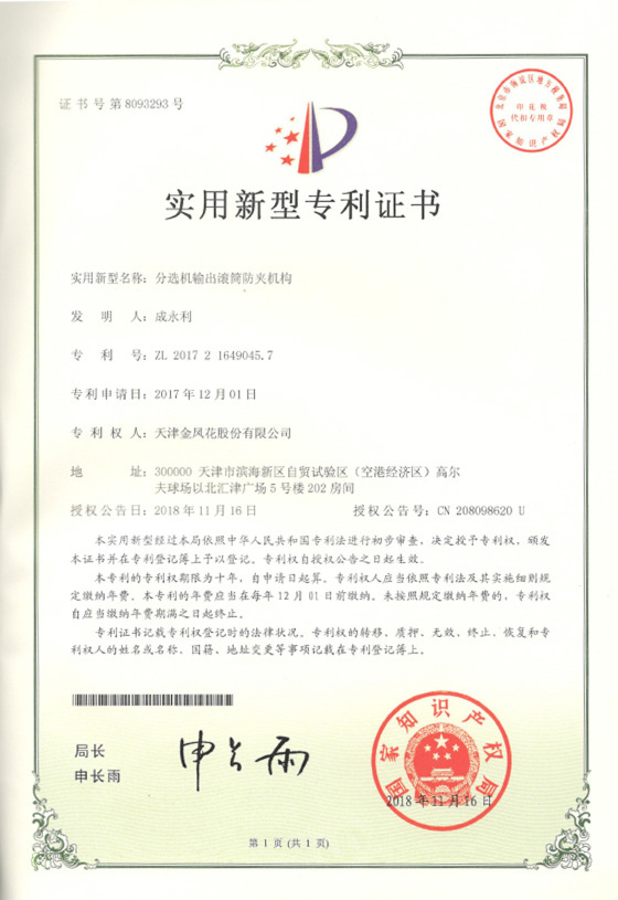 Patent record 08