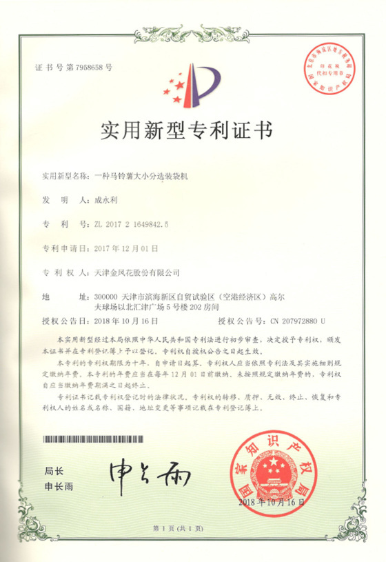Patent record 09
