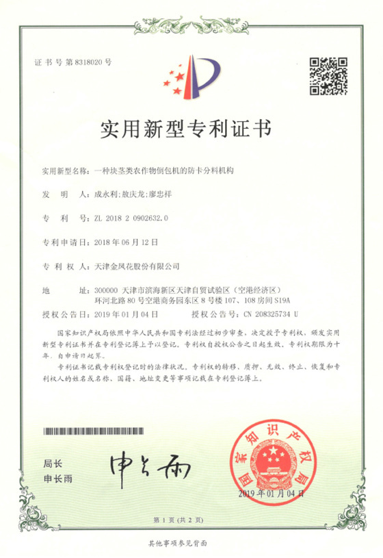 Patent record 11