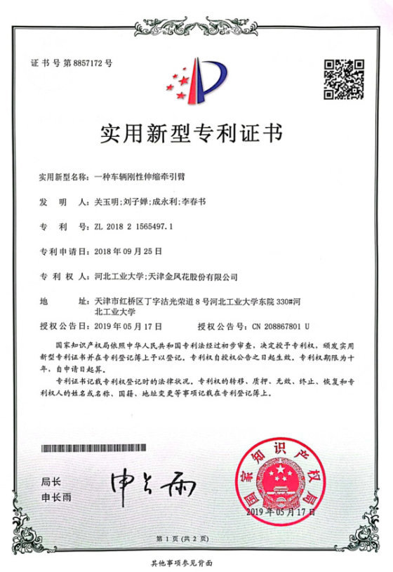 Patent record 17