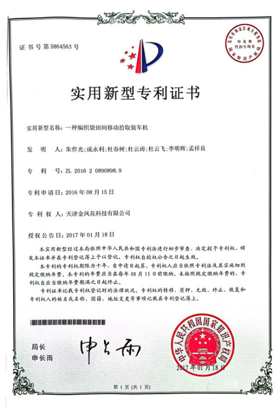 Patent record 18