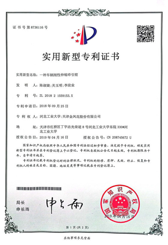 Patent record 19