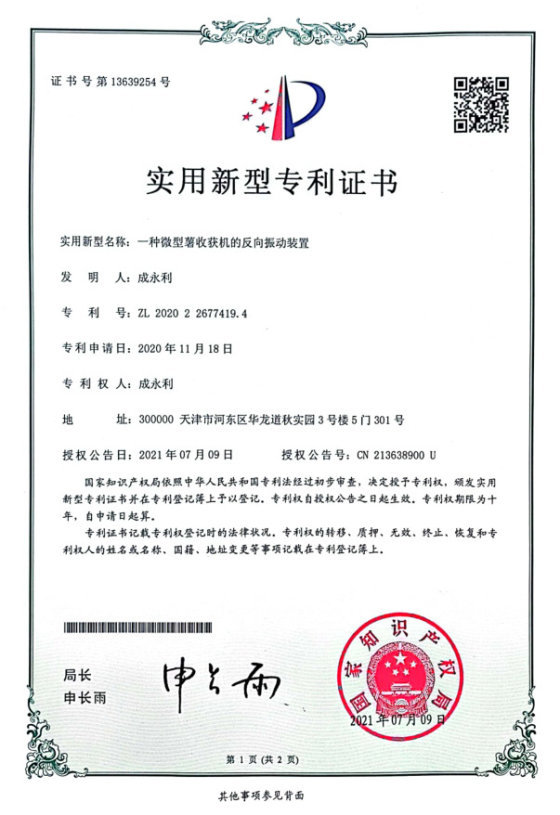 Patent record 22