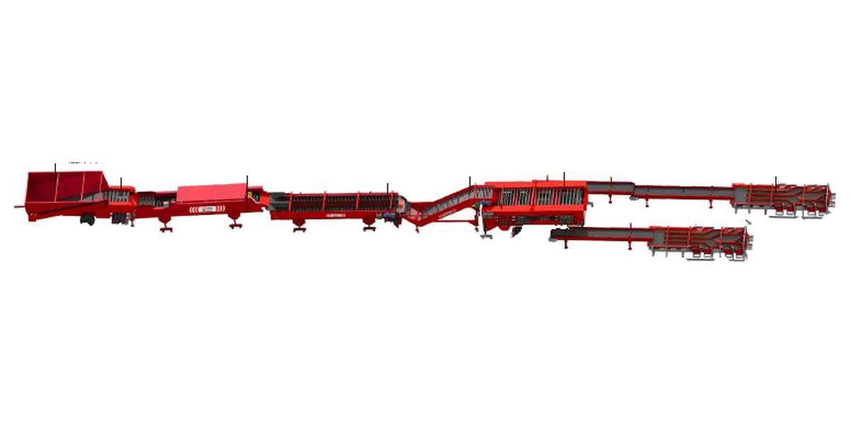 Potato dry-cleaning sorting line